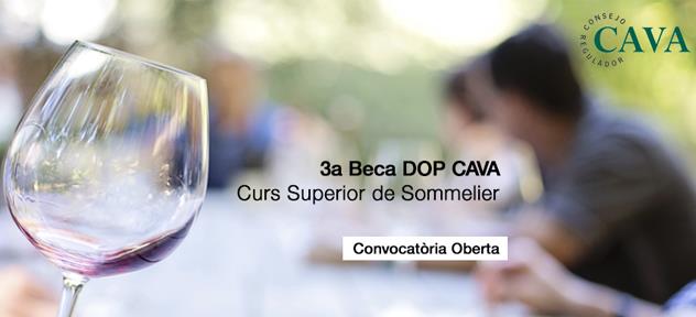 Abierta la Convocatoria a la 3a Beca DO CAVA para realizar el Curso Superior de Sommelier CETT-UB